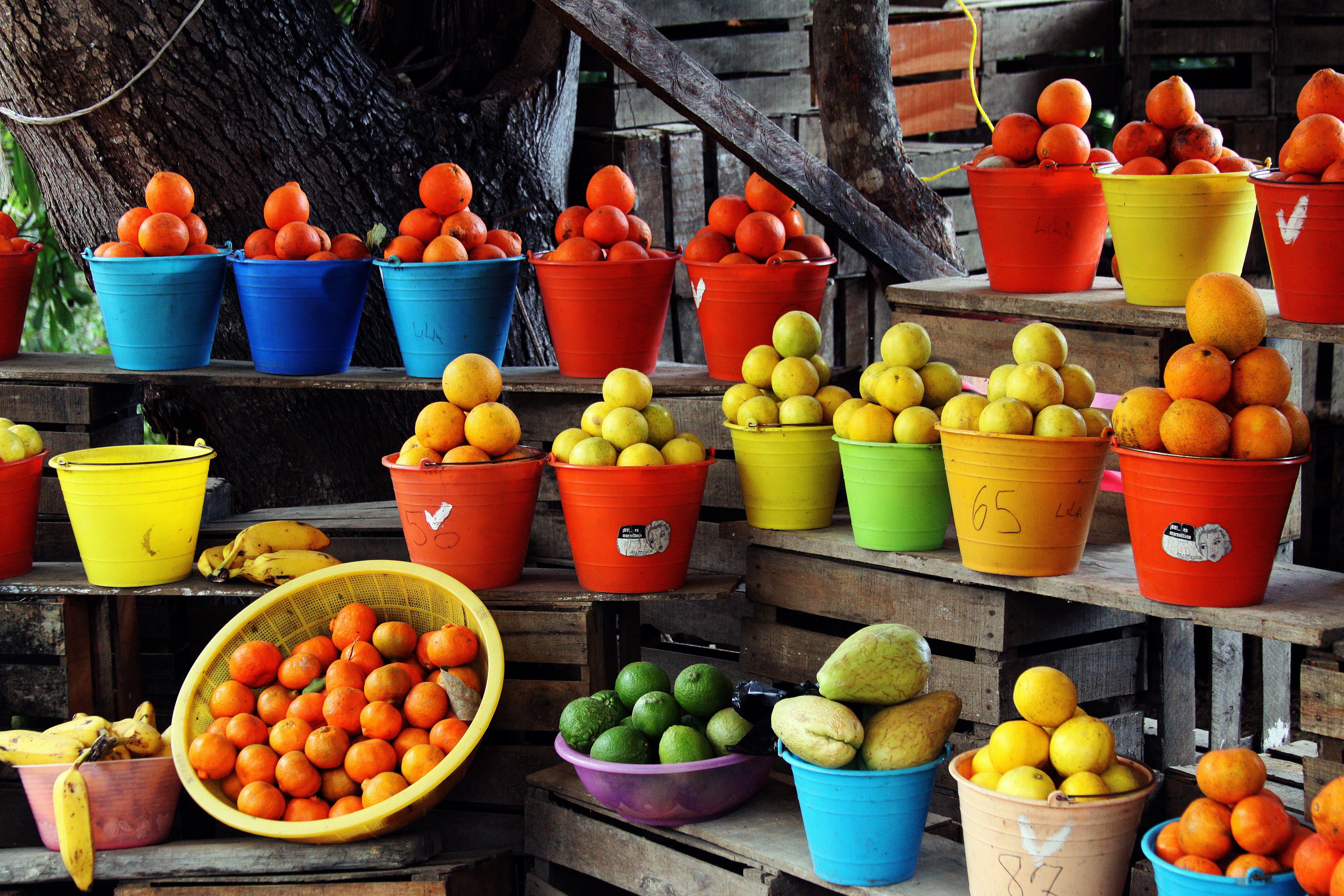 Tepic_fruit_stand
