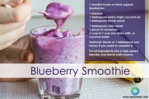 Blueberry Smoothie Breakfast