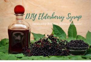 DIY Elderberry Syrup