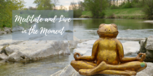 frog statue in meditation